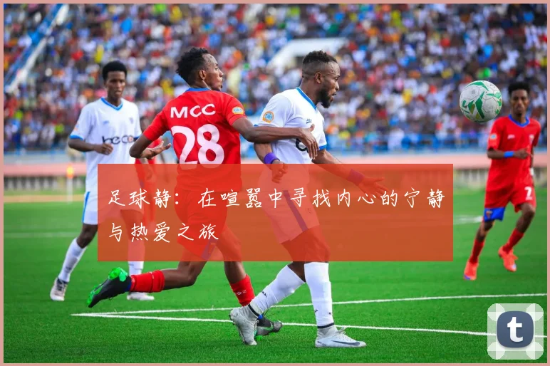 足球静：在喧嚣中寻找内心的宁静与热爱之旅